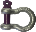 7/8" Cast D-Ring Clevis Shackle